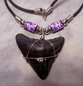 1 5/8 " Megalodon Shark Tooth Teeth Necklace Fossil Jaw Megladon Fishing Awesome