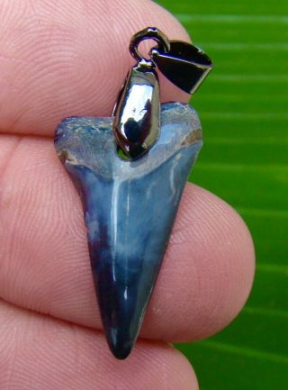 Mako Shark Tooth Necklace - 1 & 1/16 In.  Real Fossil - Sc River Find