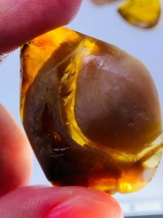 7.  55g White Stone Grow In Amber Burmite Myanmar Amber Insect Fossil Dinosaur Age