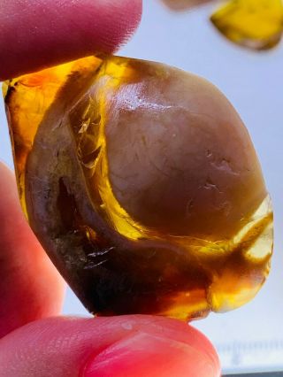 7.  55g white stone grow in amber Burmite Myanmar Amber insect fossil dinosaur age 2