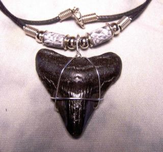 Big 1 5/8 " Megalodon Shark Tooth Teeth Necklace Xl Fossil Jaw Scuba Fishing