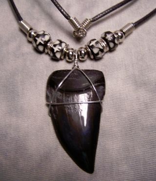 Cool 1 3/4 " Mako Shark Tooth Teeth Necklace Fossil Jaw Megalodon Diver Surfer