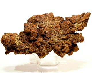 215g Dinosaur Dung Coprolite Fossil Natural Mineral Poop Specimen - Madagascar 2