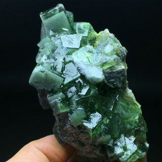 389.  5g Natural Translucent Green Cube Fluorite Crystal Mineral Specimen/china