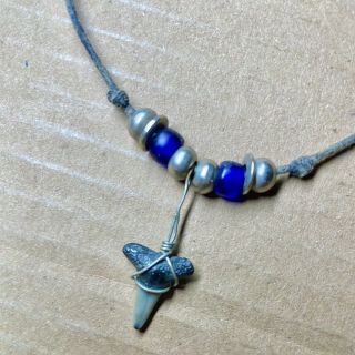 Shark Tooth Necklace 1/2” Shark Tooth