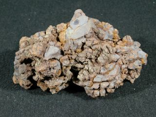A Big 100 Natural Crocodile or Turtle Coprolite Fossil from Madagascar 276gr 2