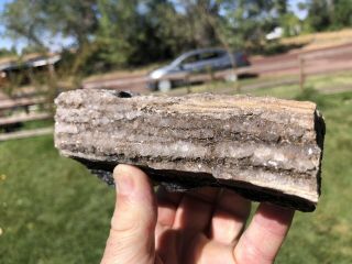 REILLY’S ROCKS: Druzy Quartz,  Smoky Quartz On Arizona Petrified Wood 3