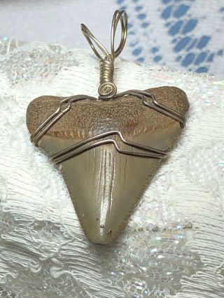 Large Real Megaladon Shark’s Tooth Beautifully Hand Wired Pendant