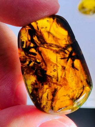 5.  83g Plant&mineral Burmite Myanmar Burmese Amber Insect Fossil Dinosaur Age
