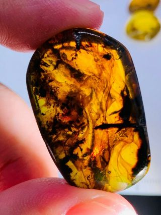 5.  83g plant&mineral Burmite Myanmar Burmese Amber insect fossil dinosaur age 2
