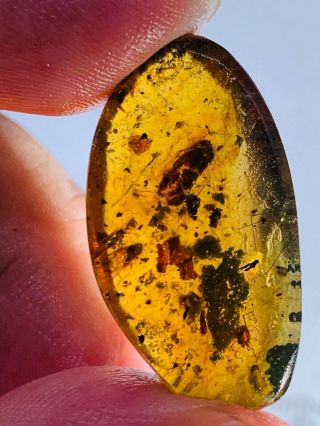 2.  77g Tick&unknown Item Burmite Myanmar Burmese Amber Insect Fossil Dinosaur Age