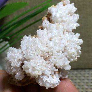 Rare Natural Cubic White Yellow Calcite Quartz Crystal Mineral Specimen K772