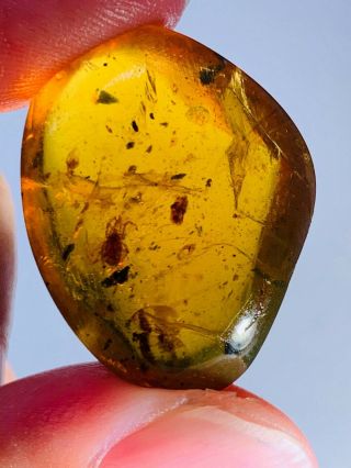 3.  25g Tick&unknown Fly Burmite Myanmar Burmese Amber Insect Fossil Dinosaur Age