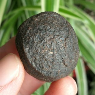 31g Natural Stony Meteorite Specimen From Liaoning,  China W1638