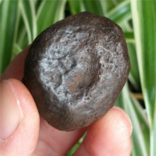 39g Natural Stony Meteorite Specimen From Liaoning,  China W1637