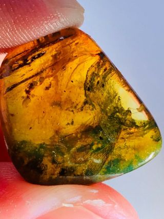 2.  28g Unknown Fly Bug Burmite Myanmar Burmese Amber Insect Fossil Dinosaur Age