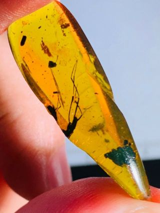1.  76g Unknown Bugs Burmite Myanmar Burmese Amber Insect Fossil Dinosaur Age