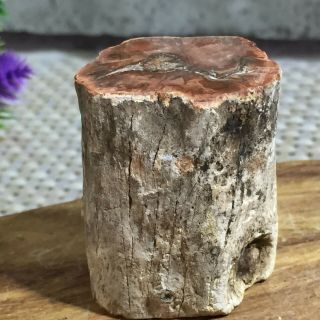 Polished Petrified Wood Crystal Slice Madagascar 56g A144