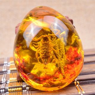 1pc Fashion Insect Stone Scorpions Inclusion Amber Baltic Pendant Necklace Gigy