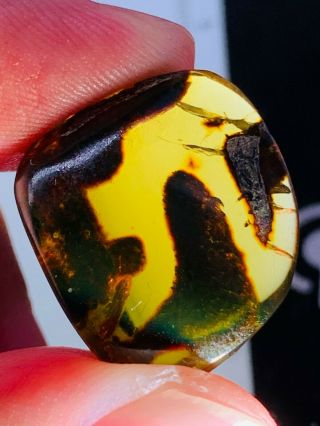 1.  8g Unknown Items Burmite Myanmar Burmese Amber Insect Fossil Dinosaur Age