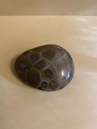 Polished Petoskey Stone 1.  98oz,  5.  2” Circumference