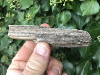 REILLY’S ROCKS: Druzy Quartz,  Smoky Quartz On Arizona Petrified Wood,  54 Grams 3