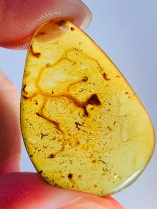 1.  8g Unknown Item&sands Burmite Myanmar Burmese Amber Insect Fossil Dinosaur Age