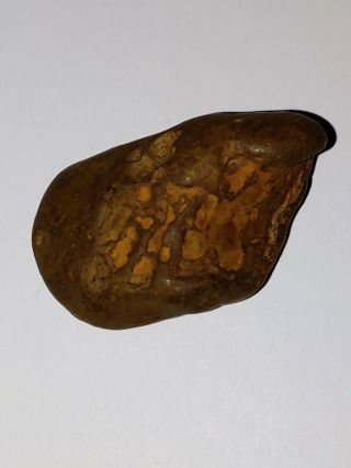 28 Gr.  Coprolite Fossilized Prehistoric Dinasaur Feces Poop Dung Washington Rare