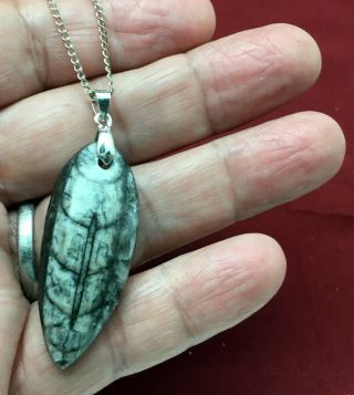 400 Million Year Old Orthoceras Fossil Pendant,  Hand Crafted (1 - 3/4 " Long) 7730