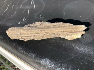 REILLY’S ROCKS: Druzy Quartz On Arizona Petrified Wood 3