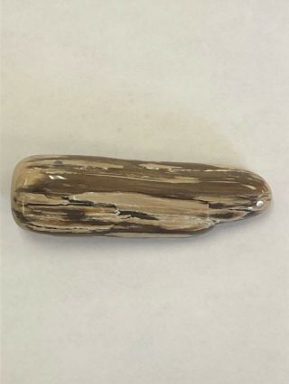 Precious Wyoming Petrified Wood.  Polished 35grams