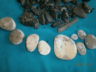 100 Beach fossils; Petoskey Stones,  Jet black animal bones from Carolinas,  Beads 2