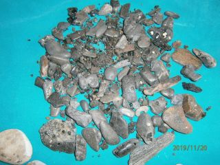 100 Beach fossils; Petoskey Stones,  Jet black animal bones from Carolinas,  Beads 3