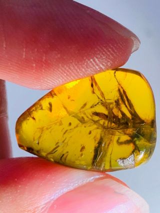 1.  84g unknown items Burmite Myanmar Burmese Amber insect fossil dinosaur age 2