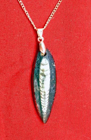 400 Million Year Old ORTHOCERAS FOSSIL PENDANT,  Hand Crafted (1 - 3/4 