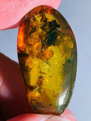 2.  5g Beetle&mineral Burmite Myanmar Burmese Amber Insect Fossil Dinosaur Age