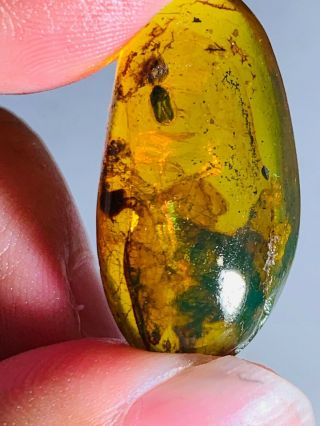 2.  5g beetle&mineral Burmite Myanmar Burmese Amber insect fossil dinosaur age 2