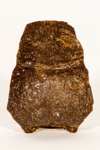 04198 - Rare Unidentified 1.  14 Inch Cretaceous Turtle Plate Bone Kemkem Beds