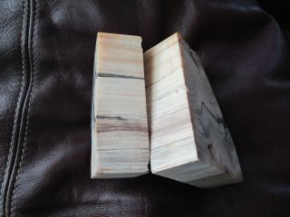 Petrified Wood - Book Ends - 3 