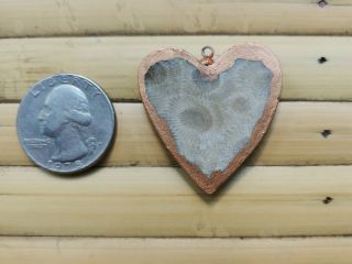 AS - IS Michigan Petoskey Stone Heart Pendant with Copper Boarder 35 x 33 x 4 mm 2