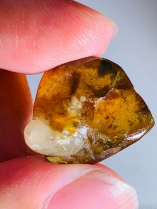2.  28g stone grow with amber Burmite Myanmar Amber insect fossil dinosaur age 2
