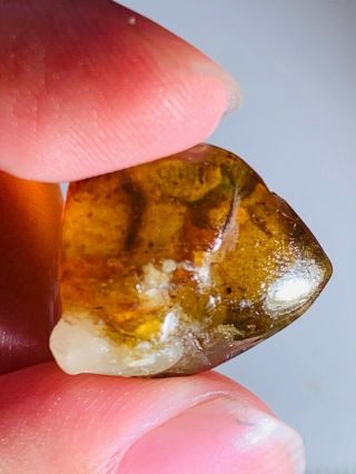 2.  28g stone grow with amber Burmite Myanmar Amber insect fossil dinosaur age 3