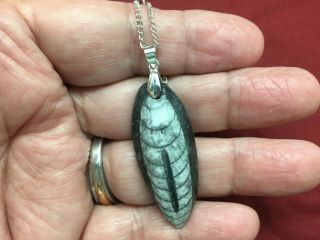 400 Million Year Old Orthoceras Fossil Pendant,  Hand Crafted (1 - 3/4 " Long) 7732