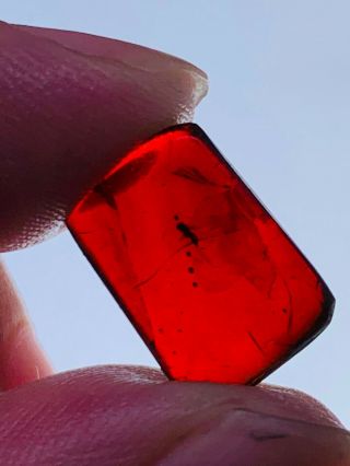 0.  46g Fly In Red Blood Amber Burmite Myanmar Amber Insect Fossil Dinosaur Age