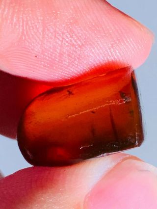 2.  12g some mosquito fly Burmite Myanmar Burmese Amber insect fossil dinosaur age 3