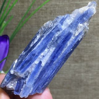 Rare Blue Crystal Natural Kyanite Rough Gem stone mineral Specimen Healing k1091 2