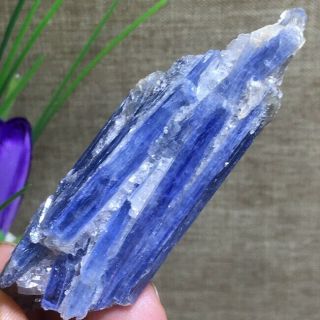 Rare Blue Crystal Natural Kyanite Rough Gem stone mineral Specimen Healing k1091 3