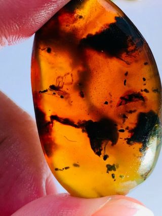 8g Unknown Bug&plant Residue Burmite Myanmar Amber Insect Fossil Dinosaur Age