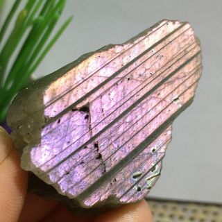 Natural Labradorite Crystal Rough Polished From Madagascar 41g 52mm k339 2