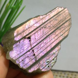 Natural Labradorite Crystal Rough Polished From Madagascar 41g 52mm k339 3